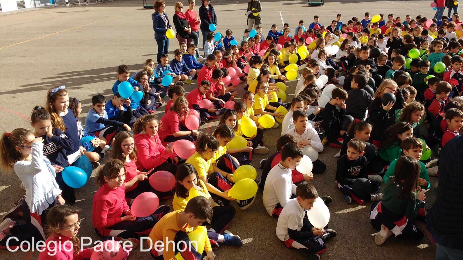 IMG 20190201 155117802