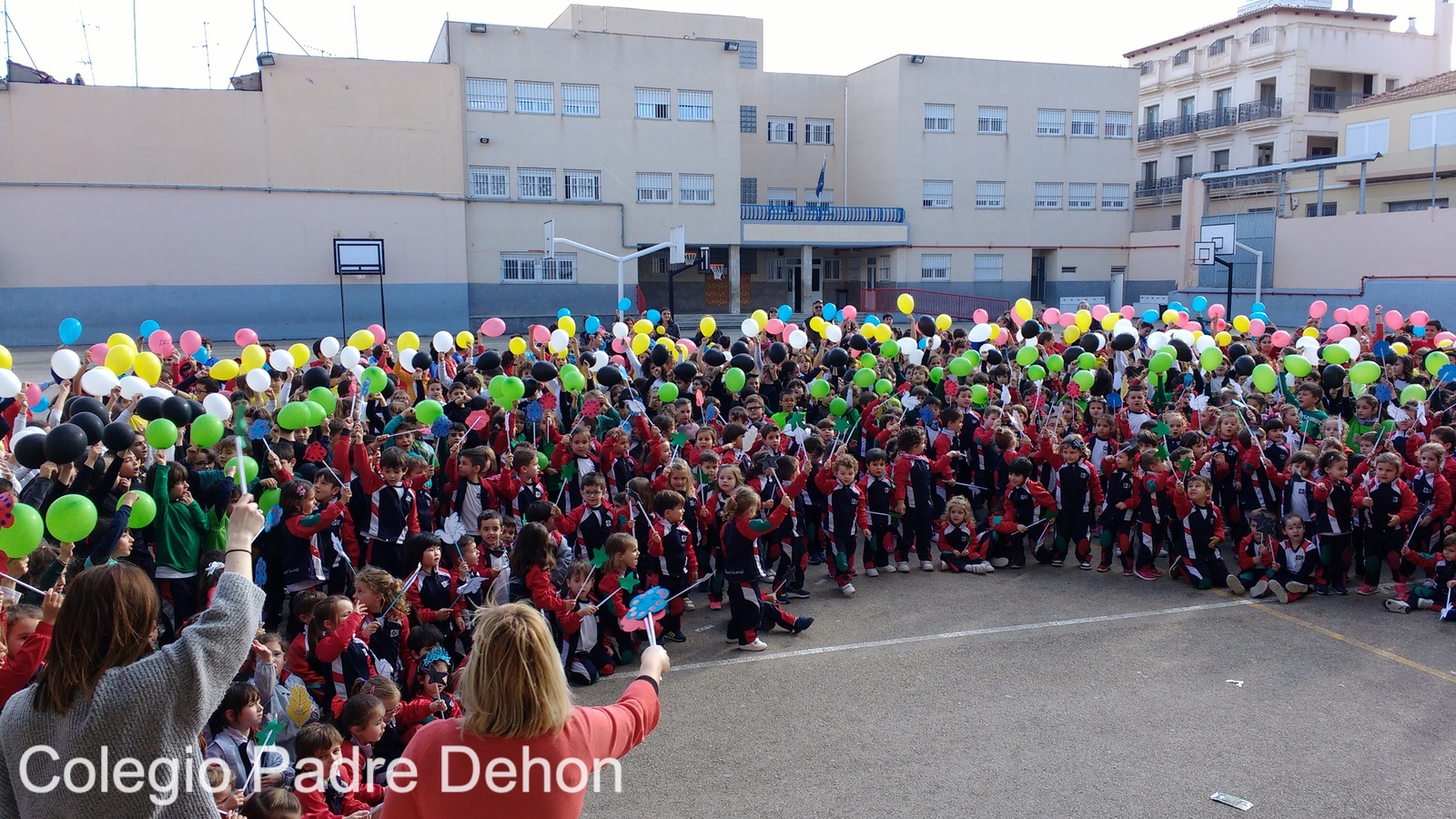 IMG 20190201 155328457