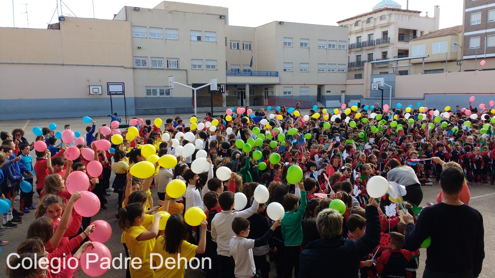 IMG 20190201 155336490