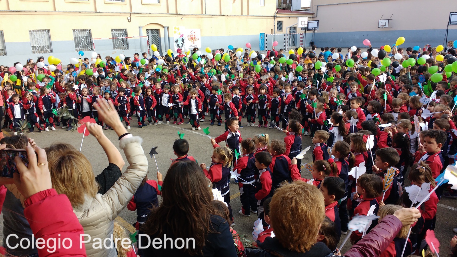 IMG 20190201 155412747