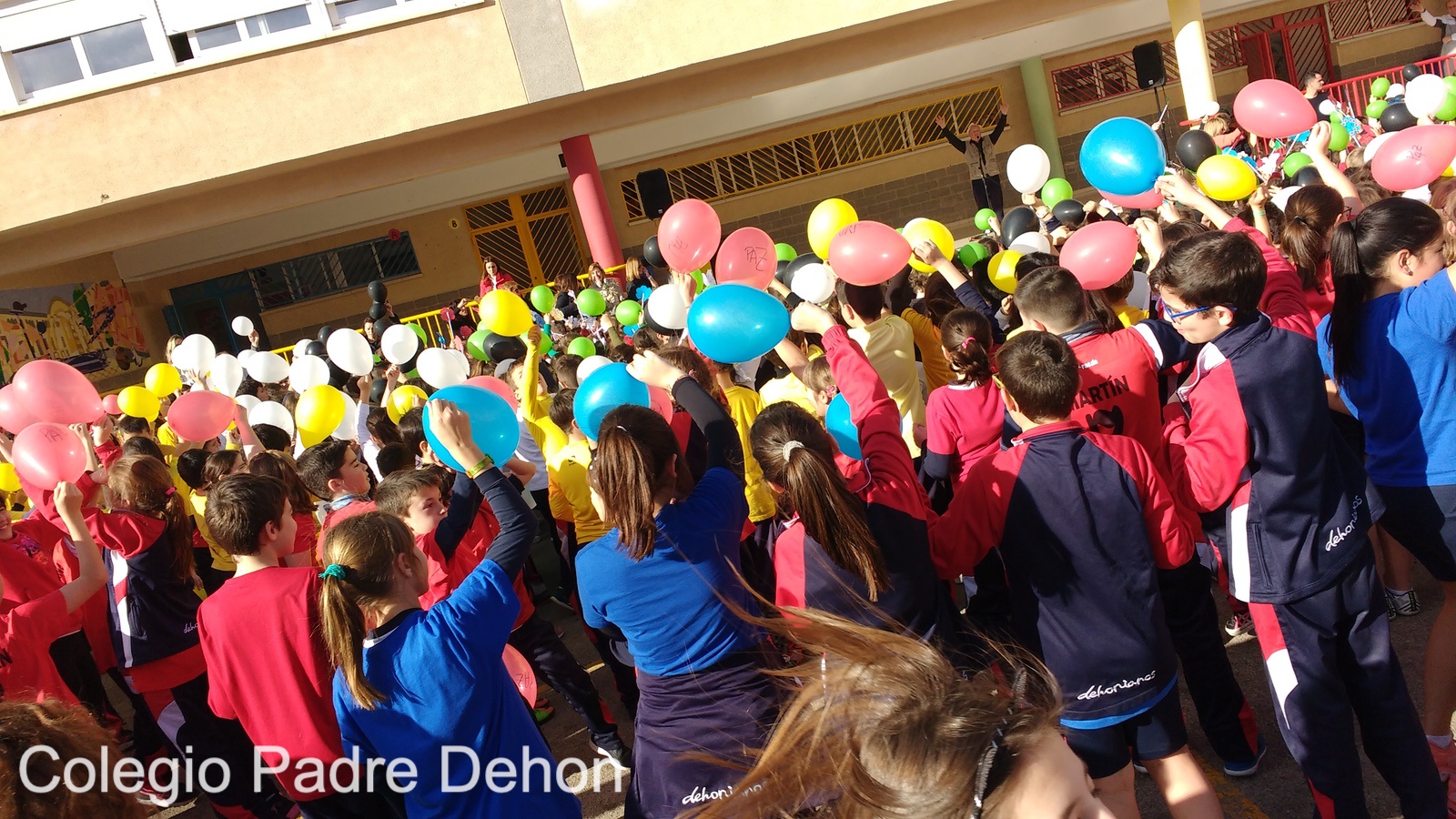 IMG 20190201 155543283