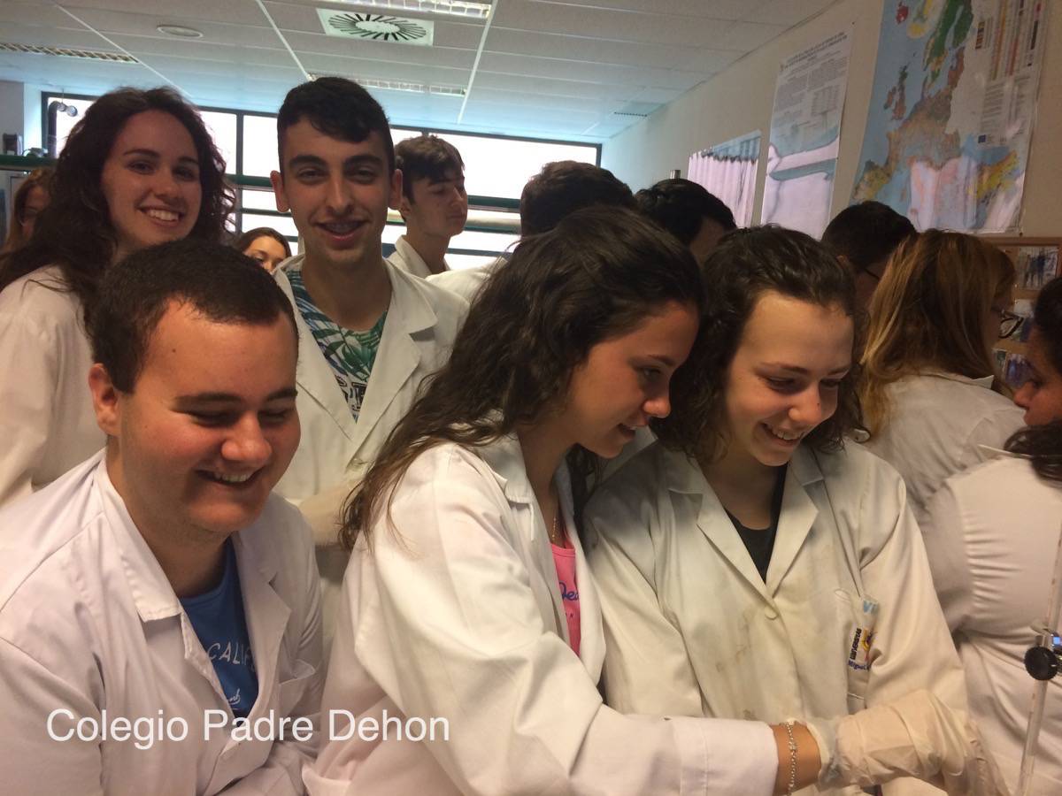 20170425 085546082 iOS