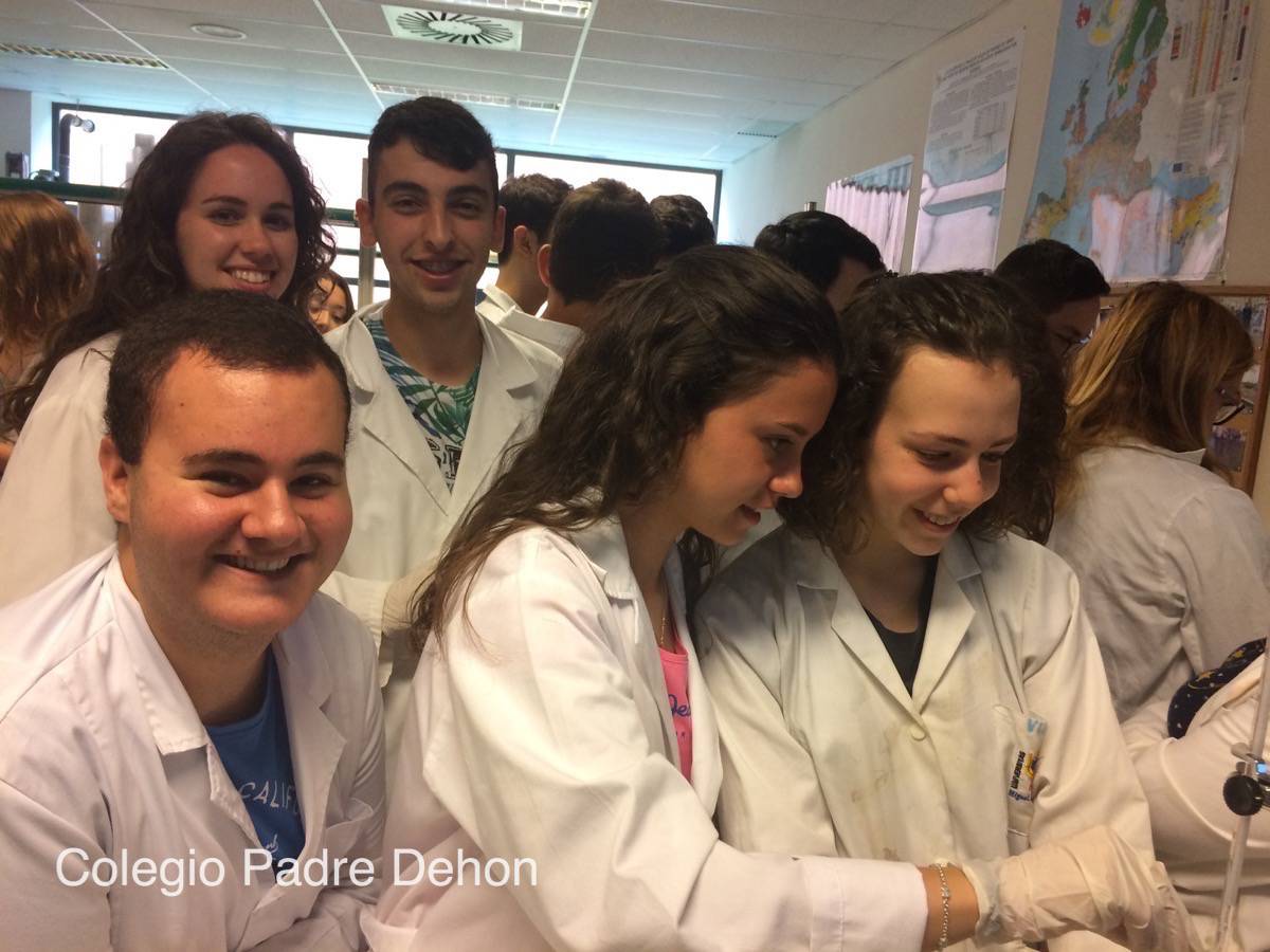 20170425 085547791 iOS