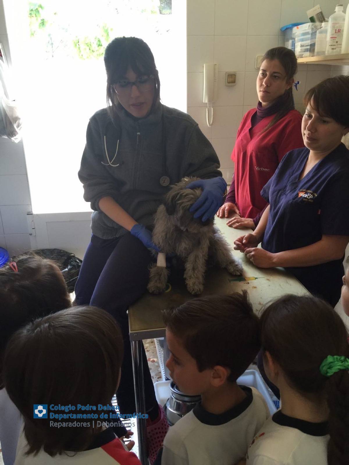 07 3 Infantil Visita La Clinica Menescal
