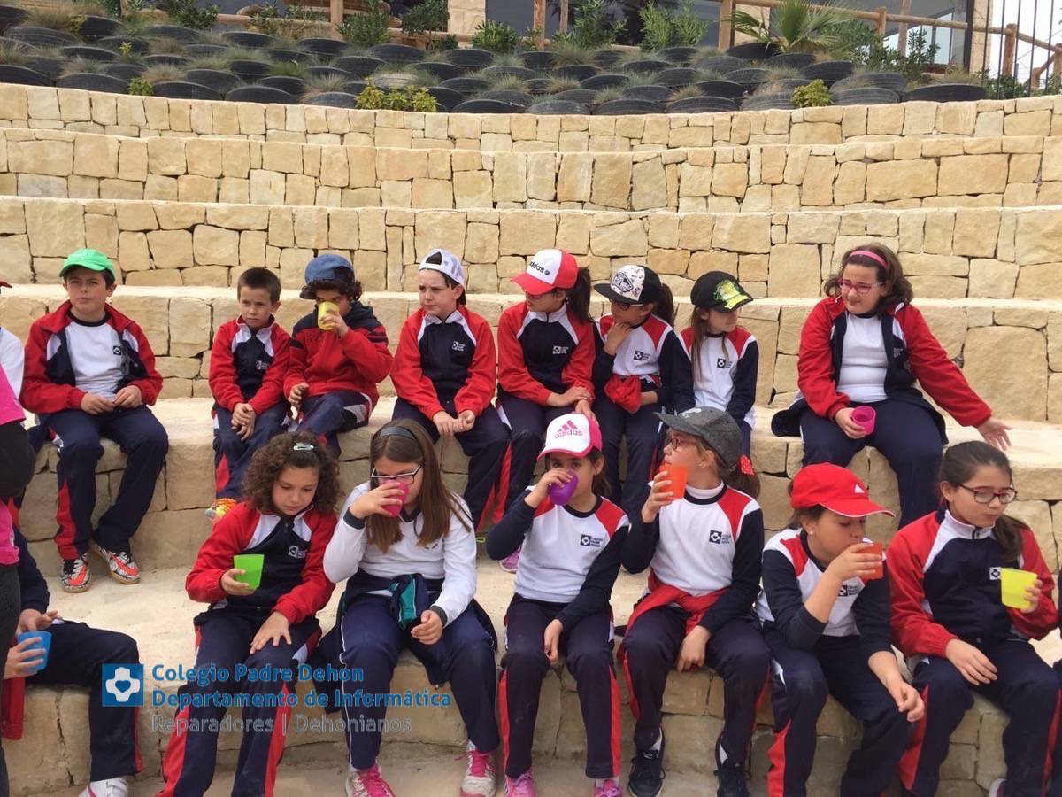 Photo919399636348807130