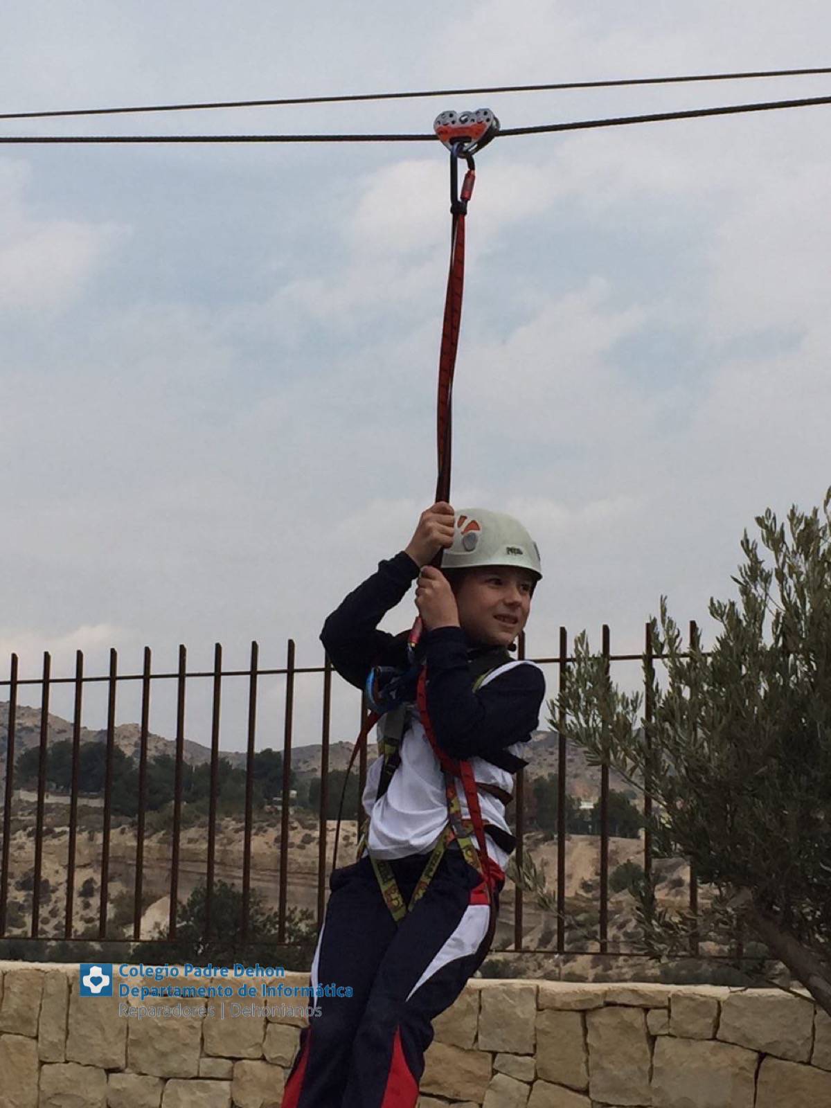 Photo919399636348807134