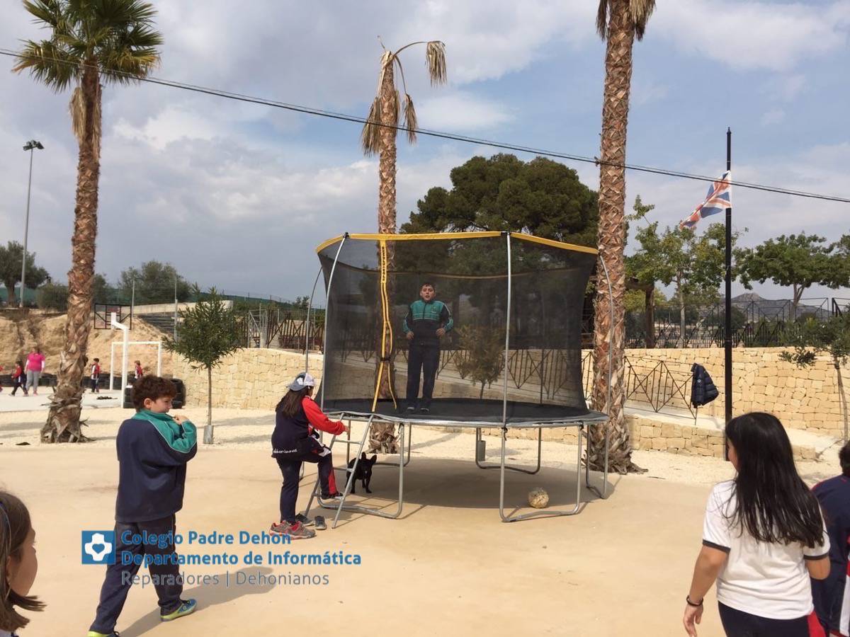 Photo919399636348807149