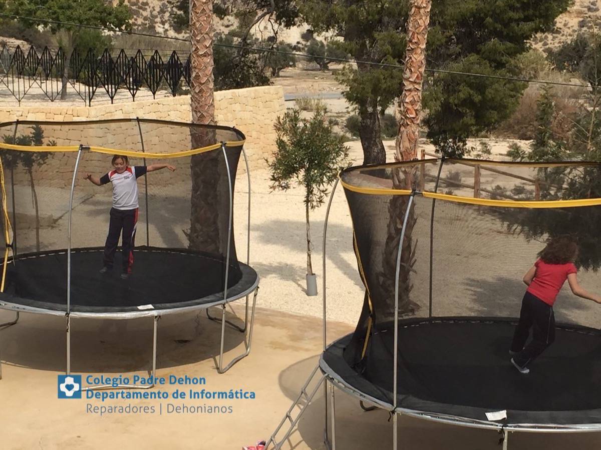 Photo919399636348807152