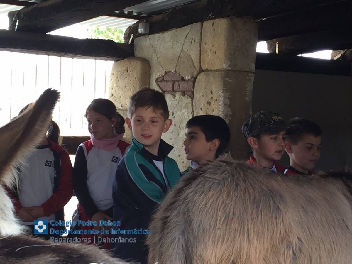 Photo919399636348807163