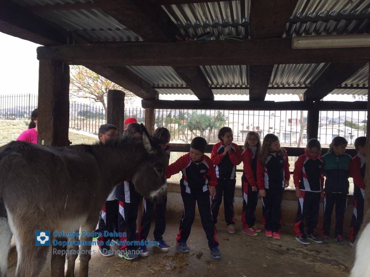 Photo919399636348807164