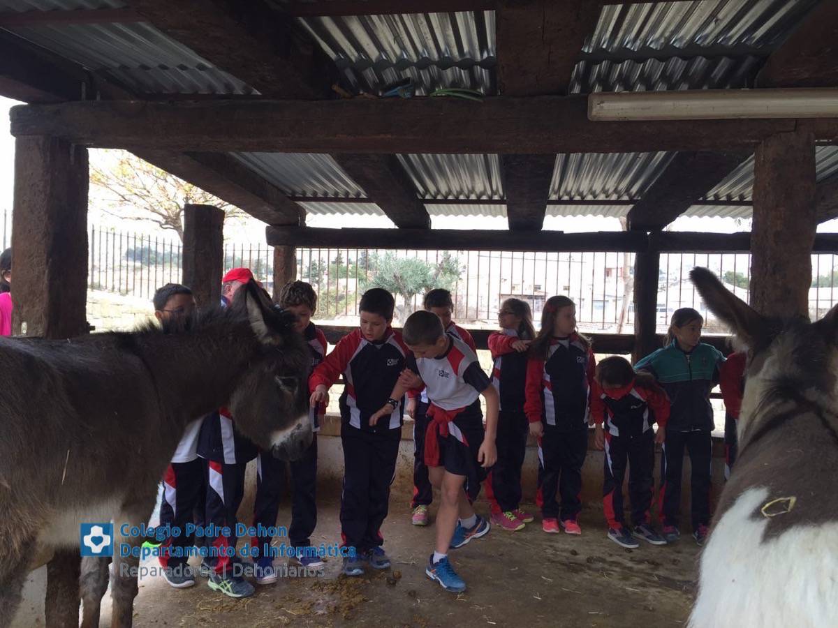 Photo919399636348807166