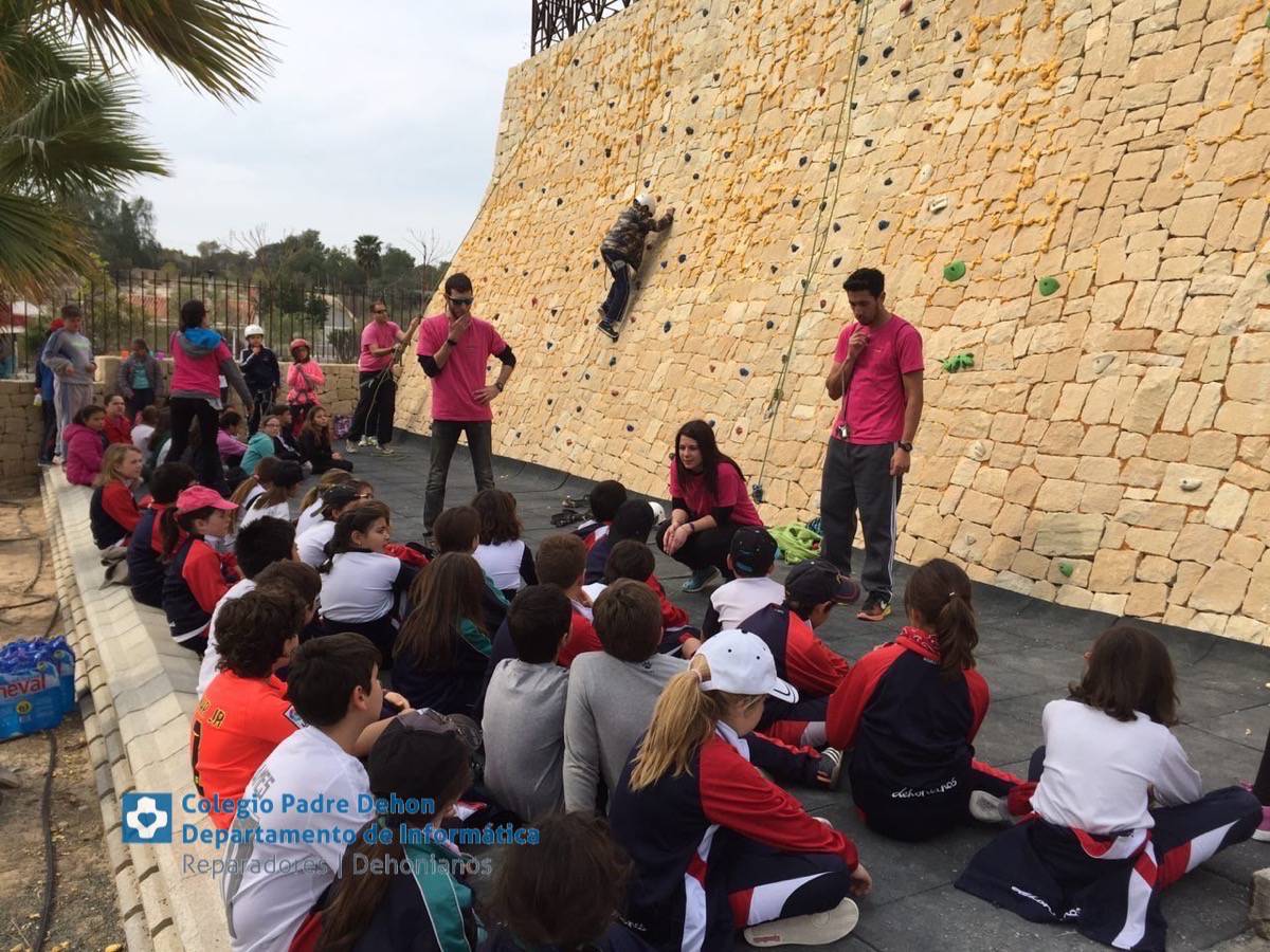 Photo919399636348807168