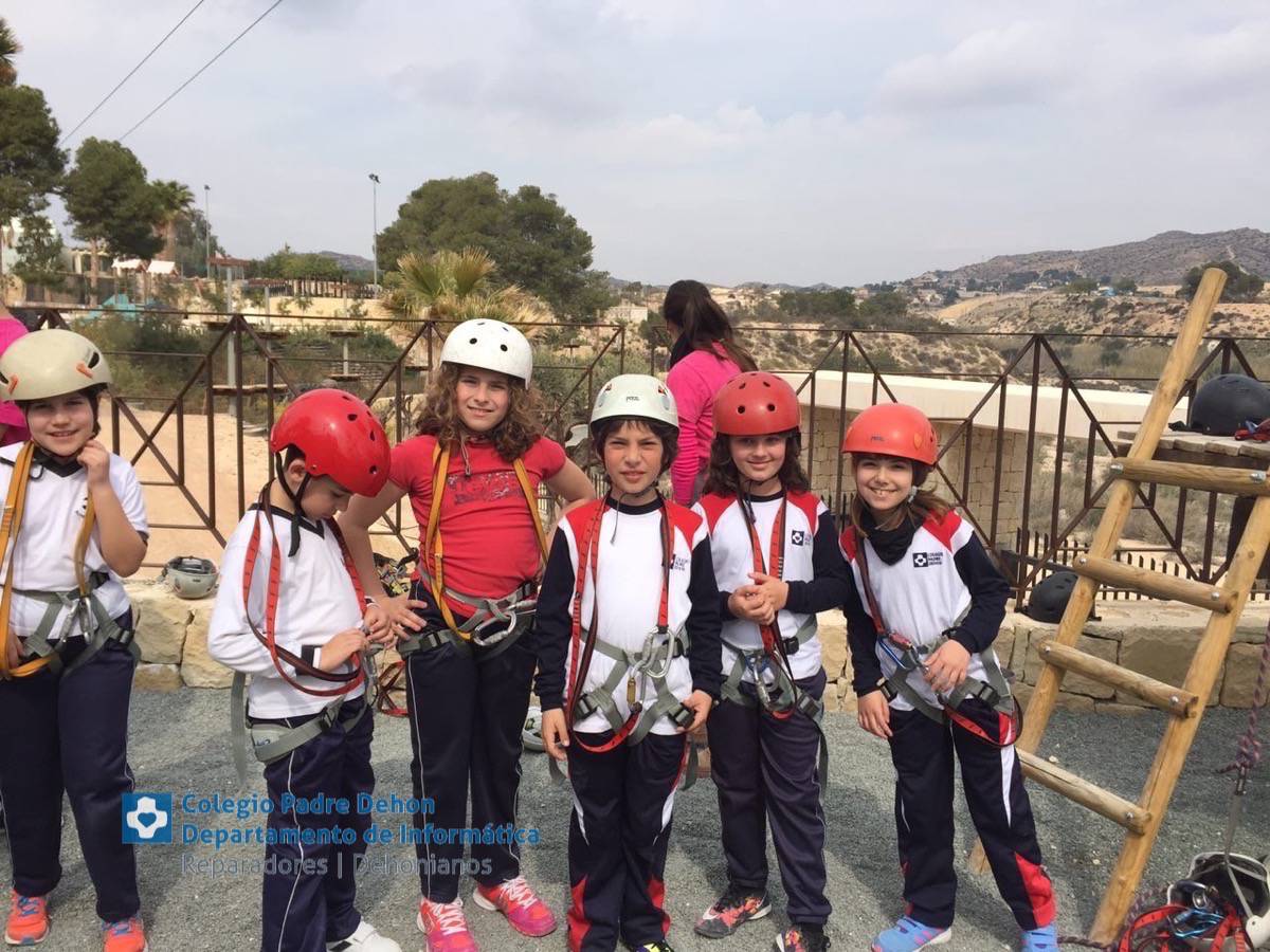 Photo919399636348807172