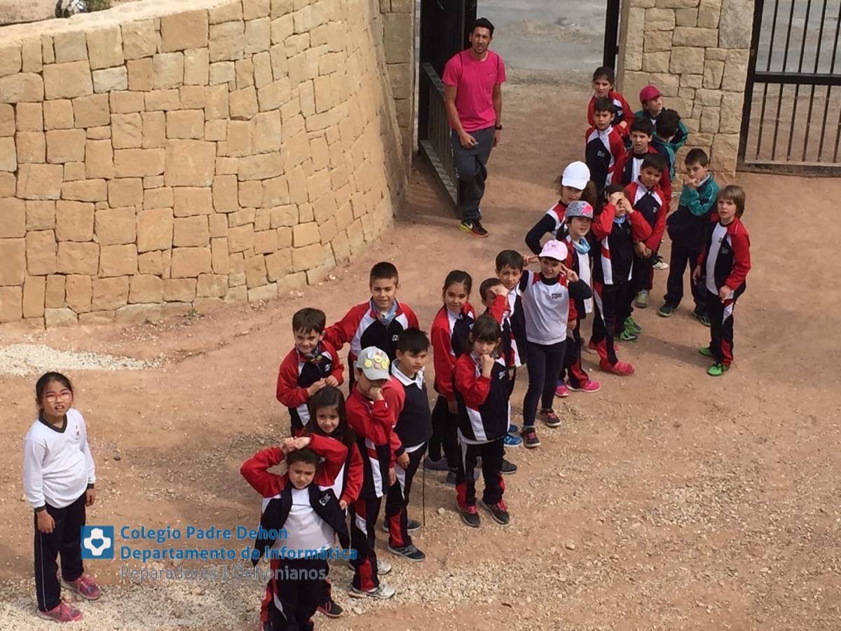 Photo919399636348807173