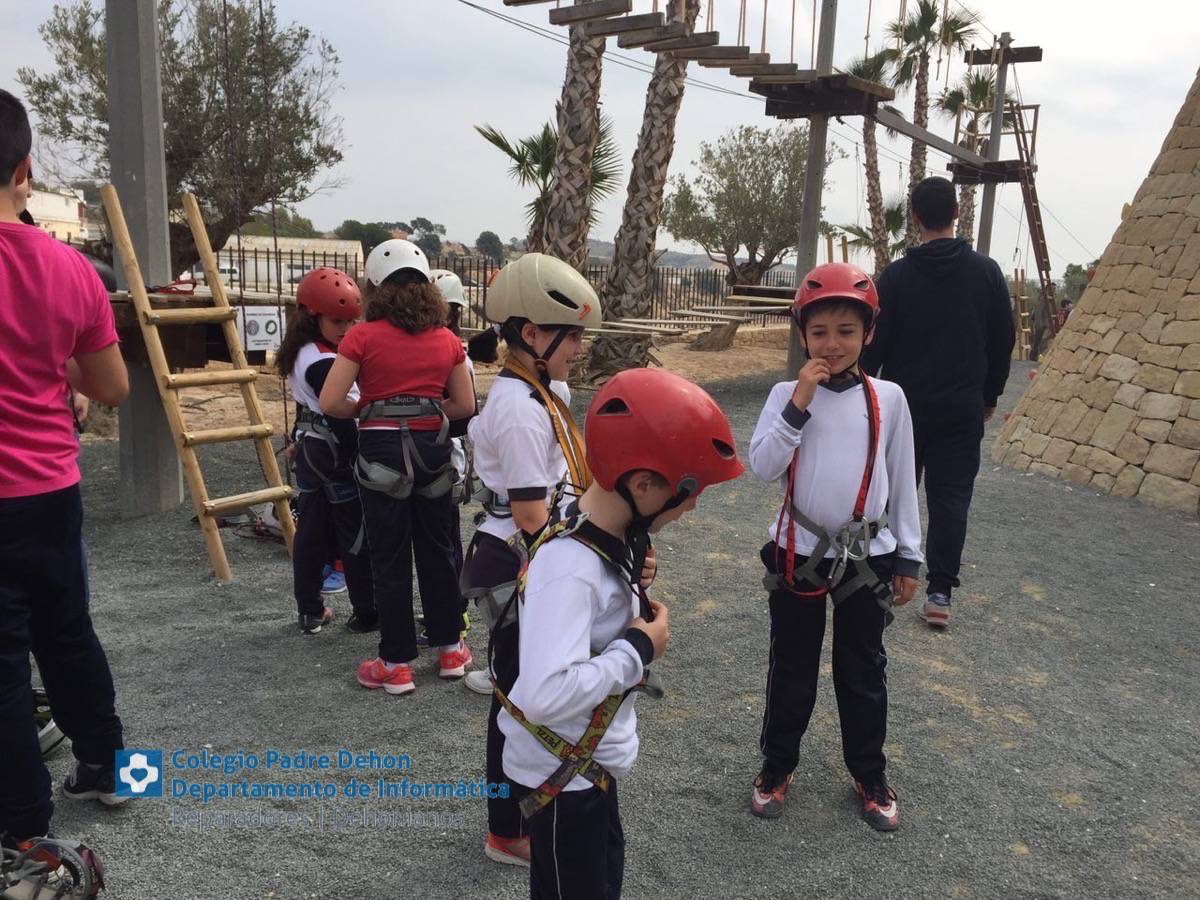 Photo919399636348807174