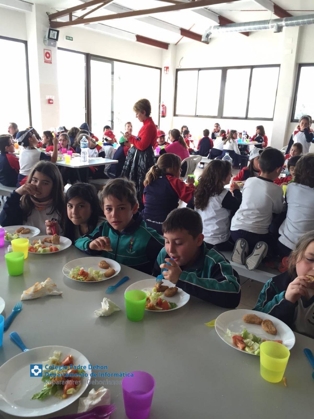 Photo919399636348807181