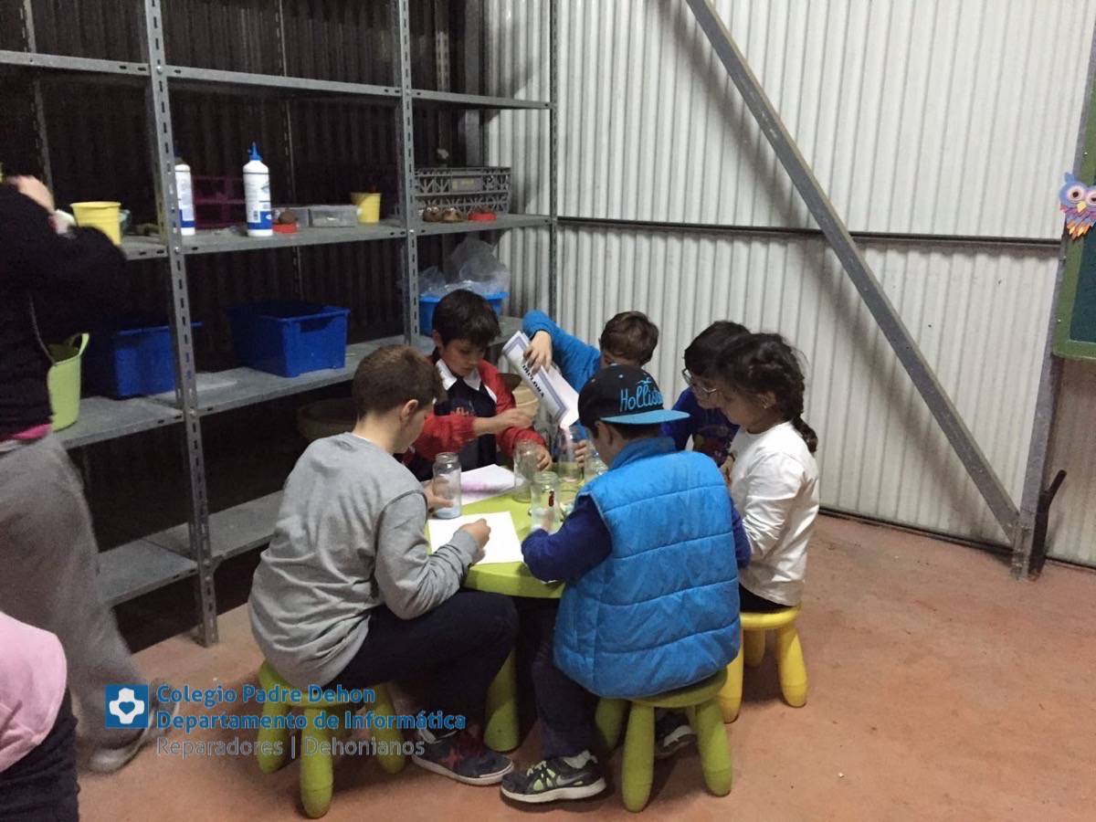 Photo919399636348807199