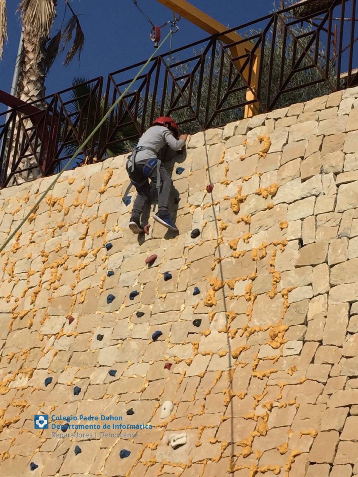 Photo919399636348807213