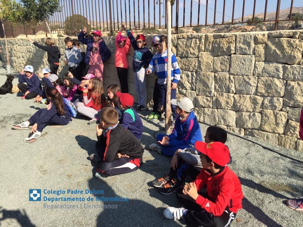 Photo919399636348807217