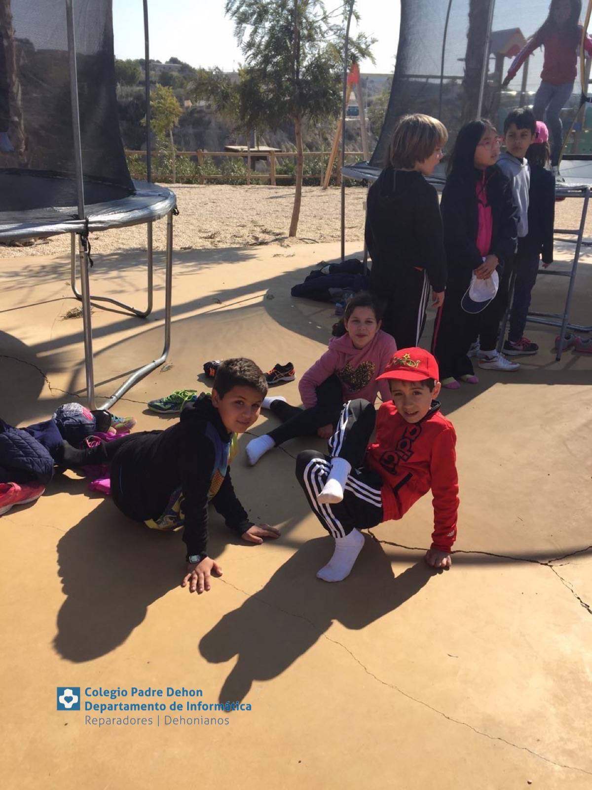 Photo919399636348807239