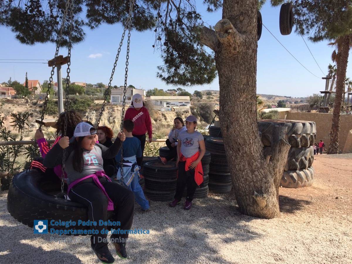 Photo919399636348807240