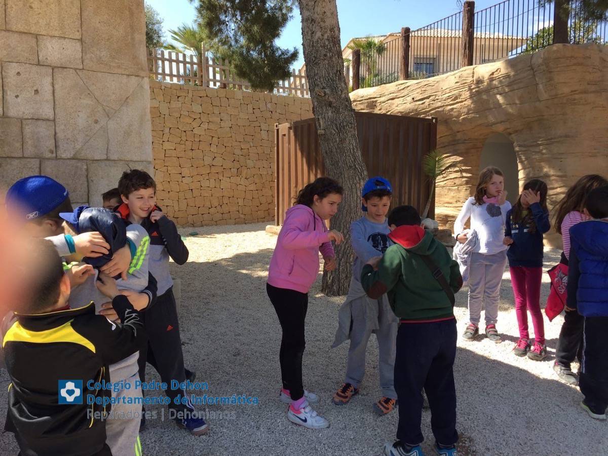 Photo919399636348807243