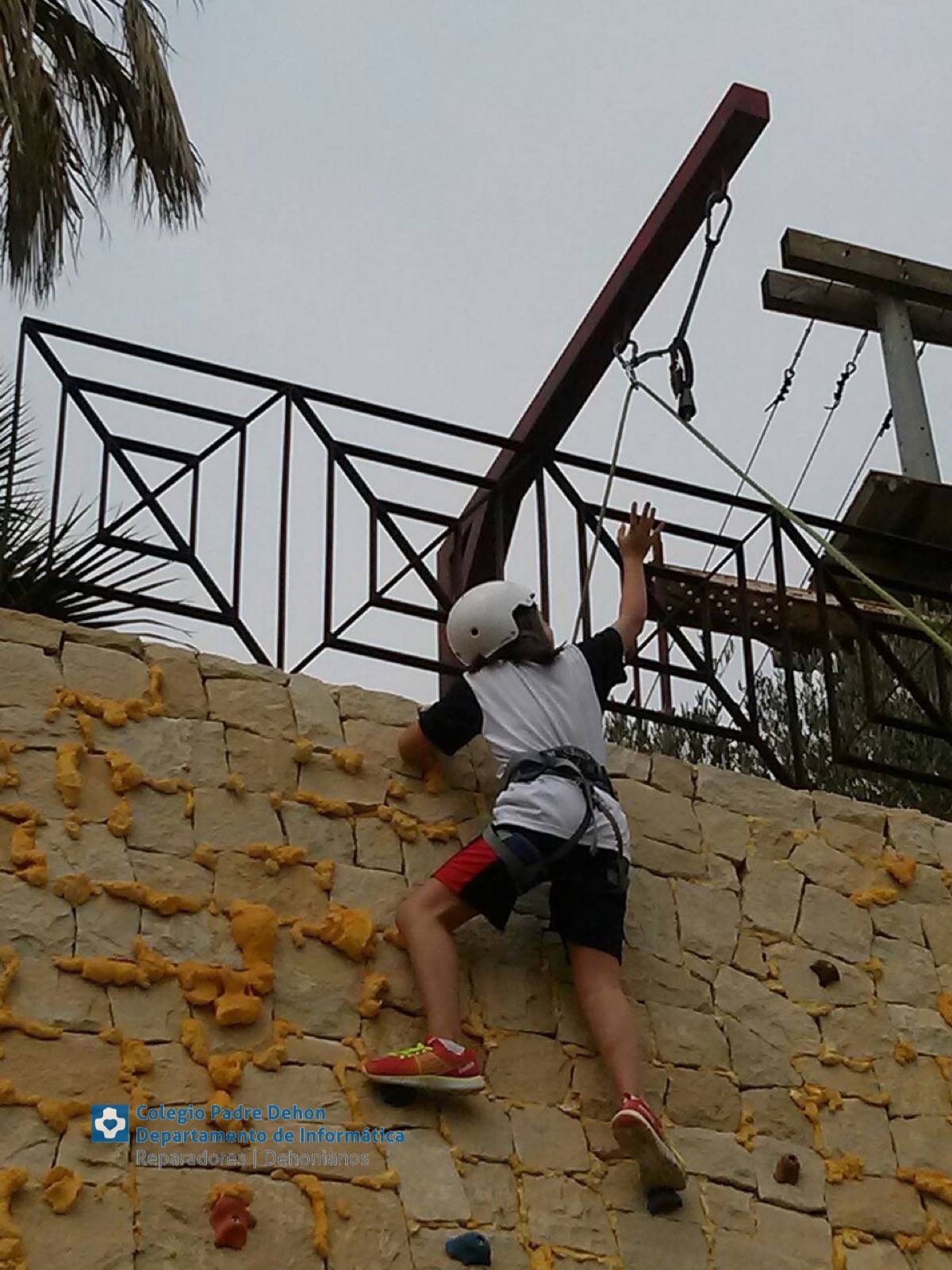 Photo938017469173442486