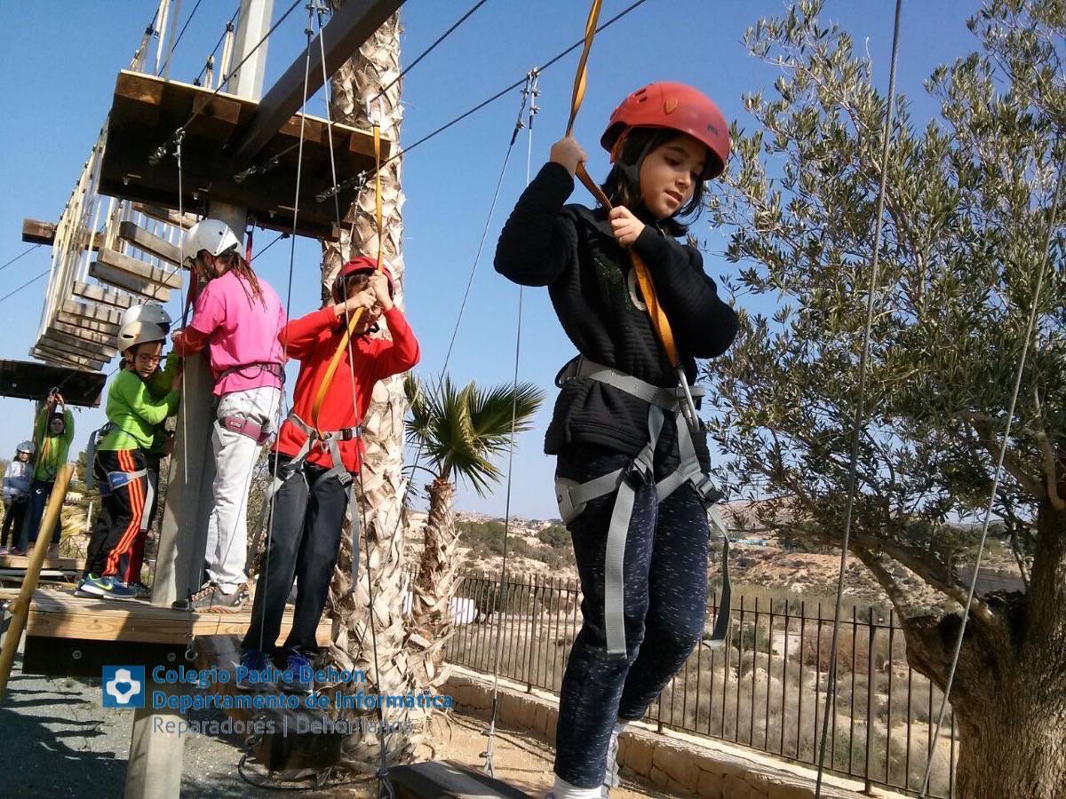 Photo938017469173442511