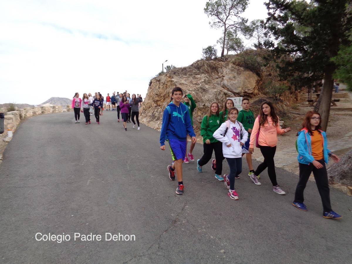 Marcha solid 23oct21