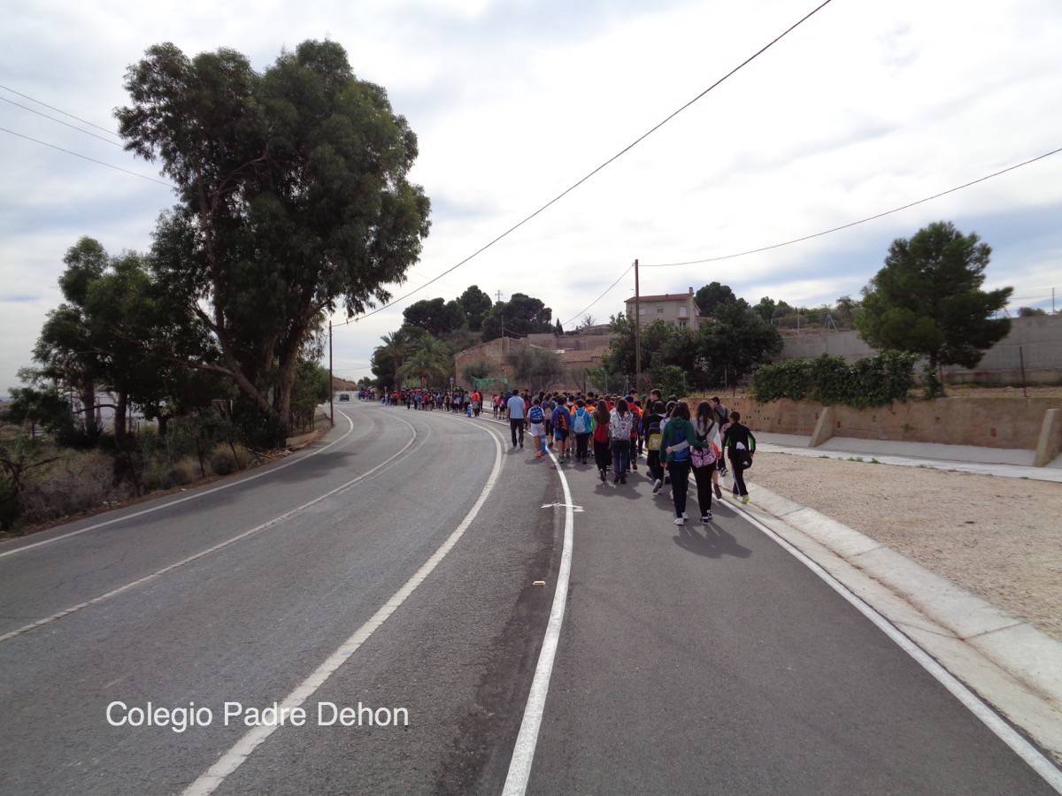 Marcha solid 23oct26