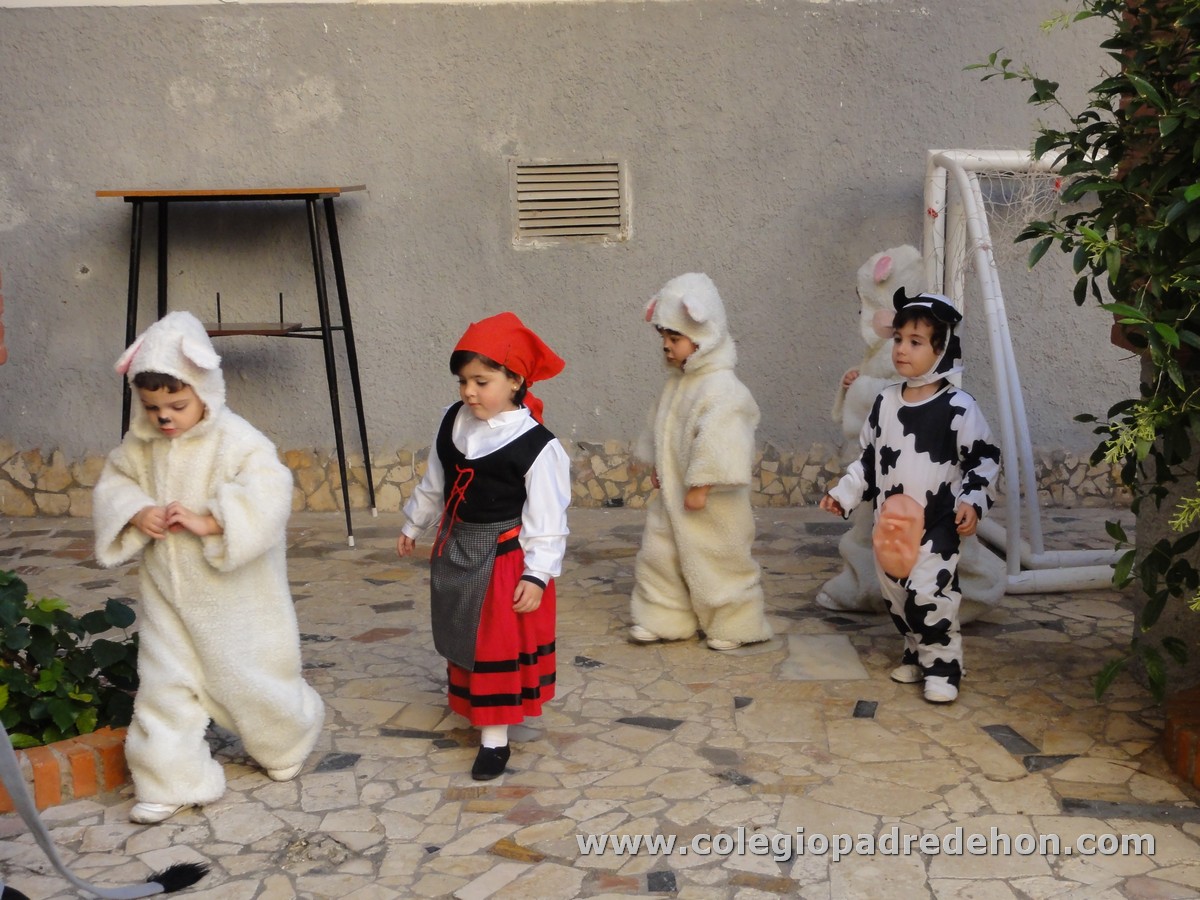 Festival nav 1 inf00013