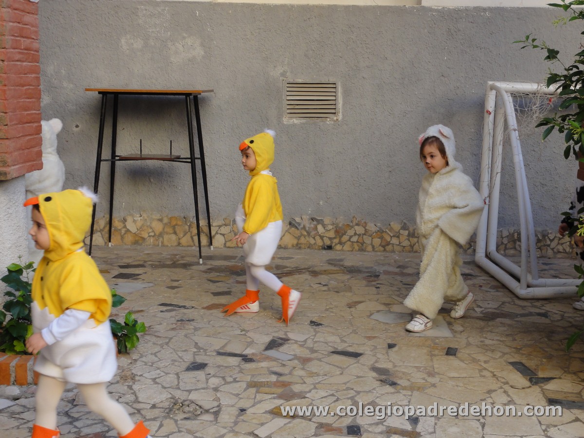 Festival nav 1 inf00015