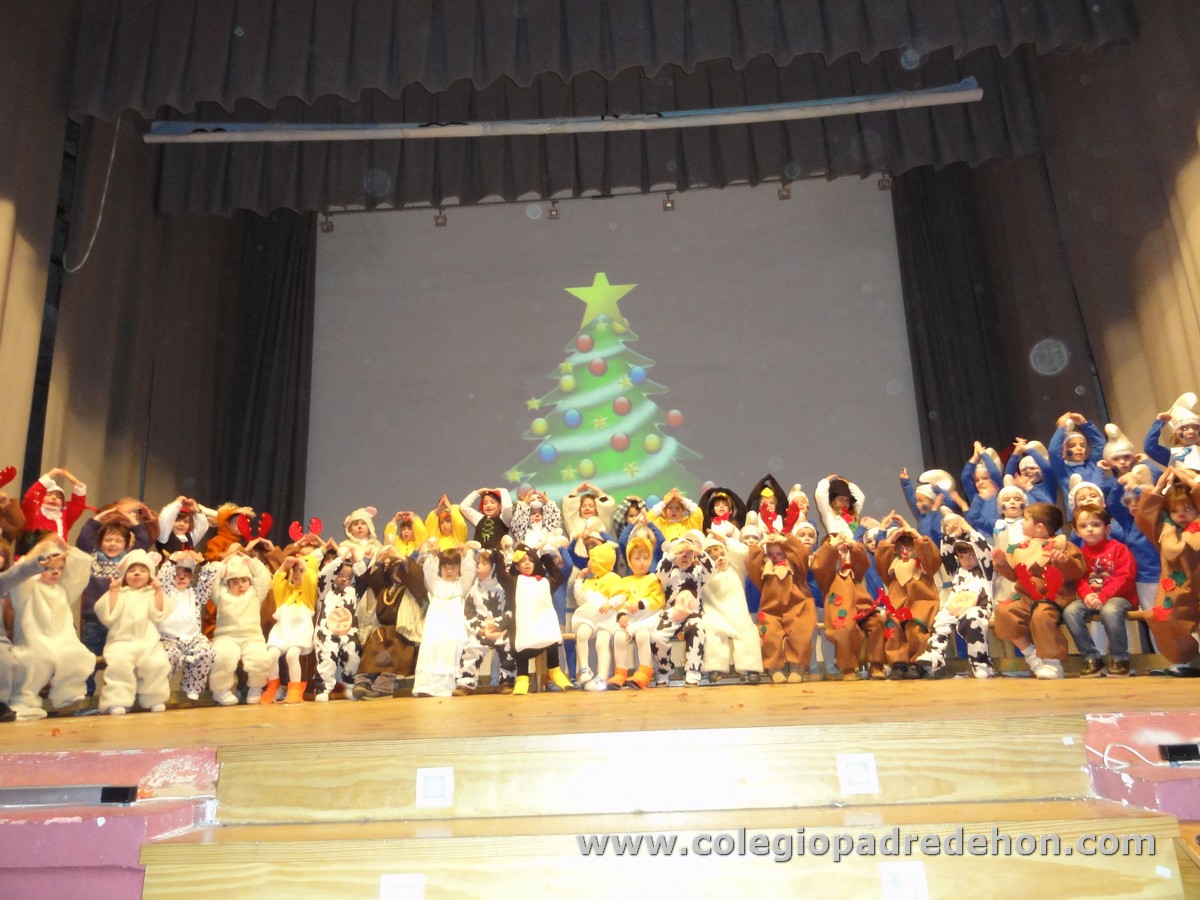 Festival nav 1 inf00080