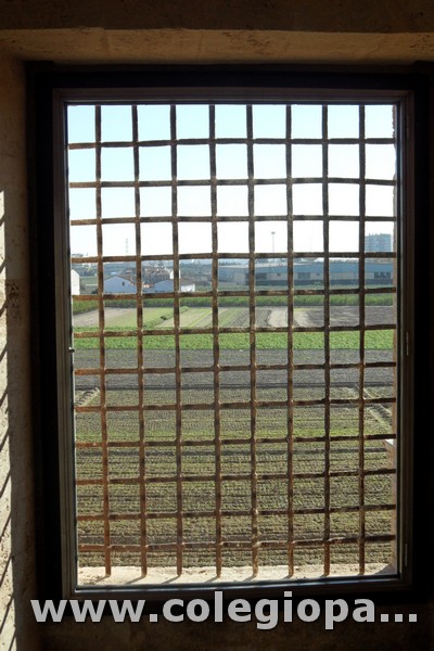 BIBLIOTECA VALENCIANA00051