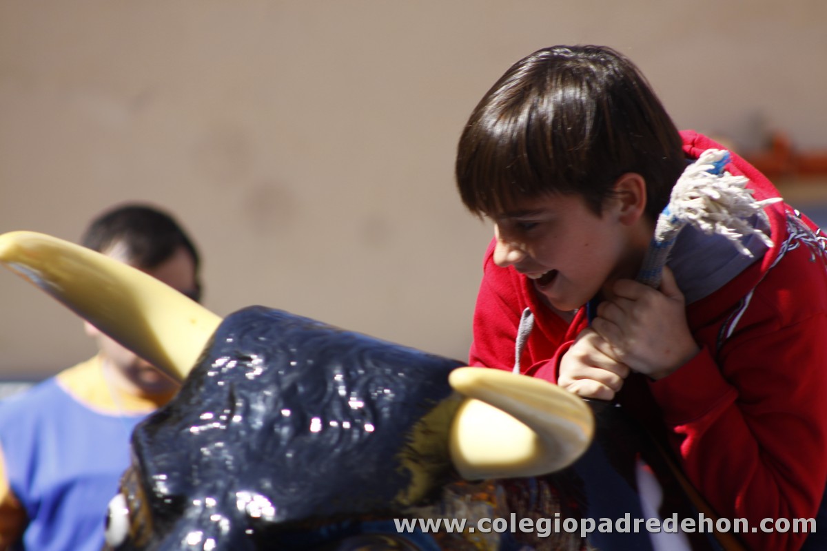 Fiesta apa 201200004