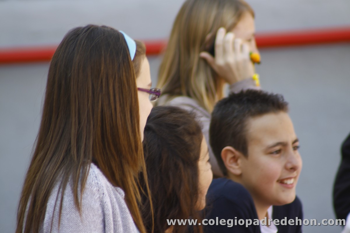 Fiesta apa 201200005