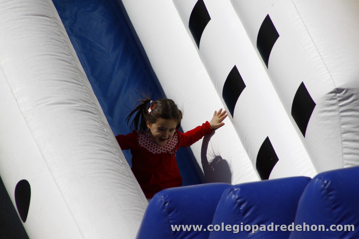 Fiesta apa 201200006