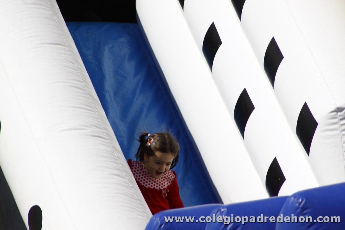 Fiesta apa 201200010