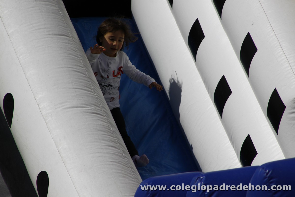 Fiesta apa 201200011