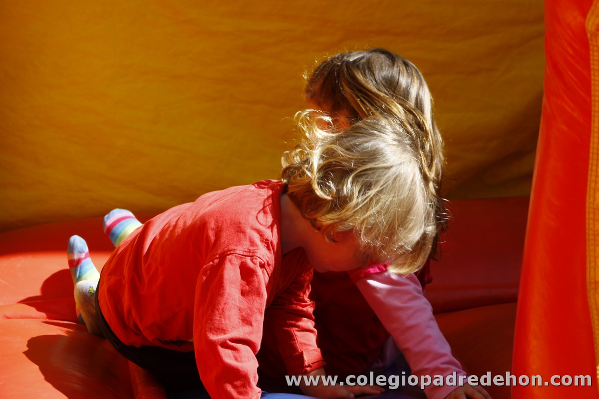 Fiesta apa 201200032