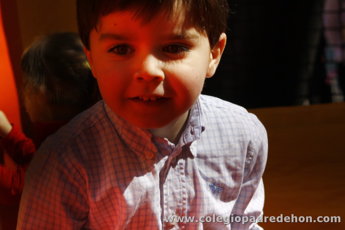 Fiesta apa 201200033