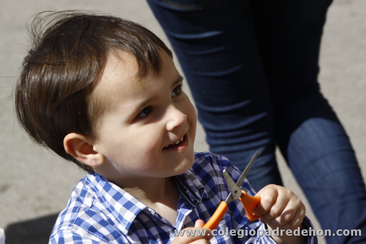 Fiesta apa 201200044