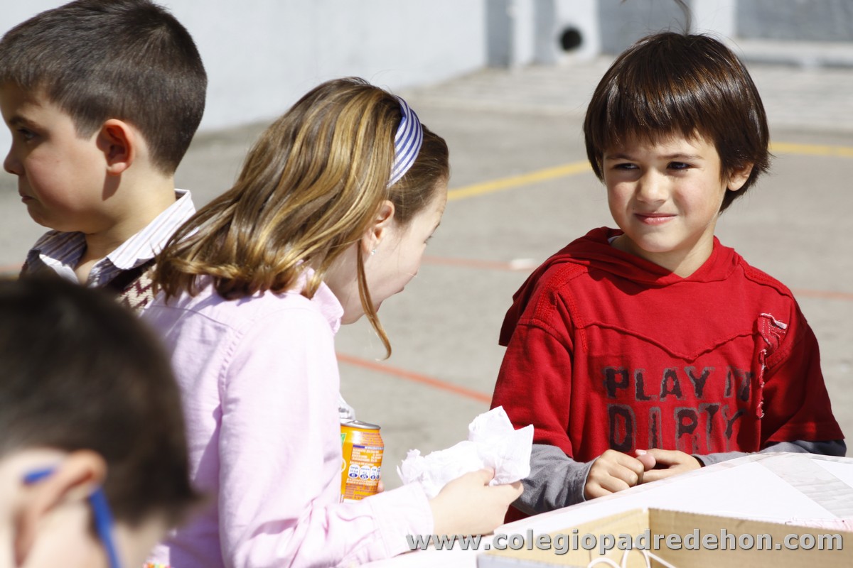 Fiesta apa 201200047