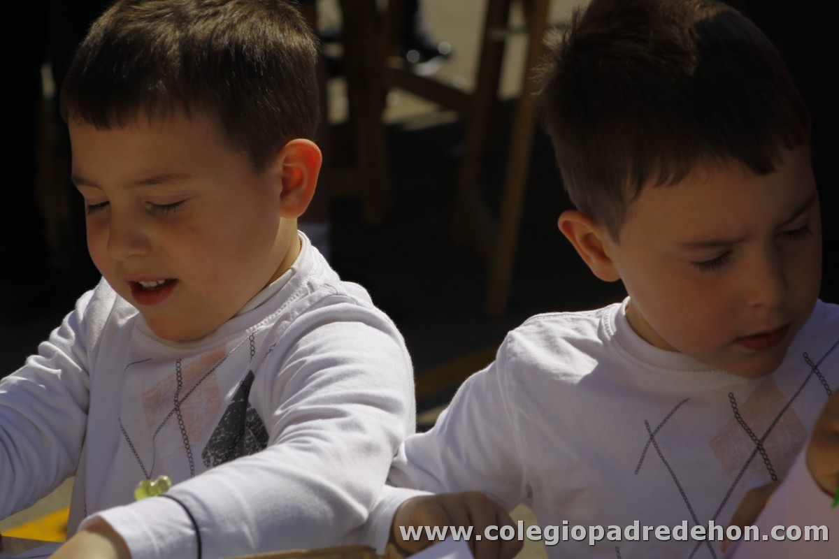 Fiesta apa 201200051