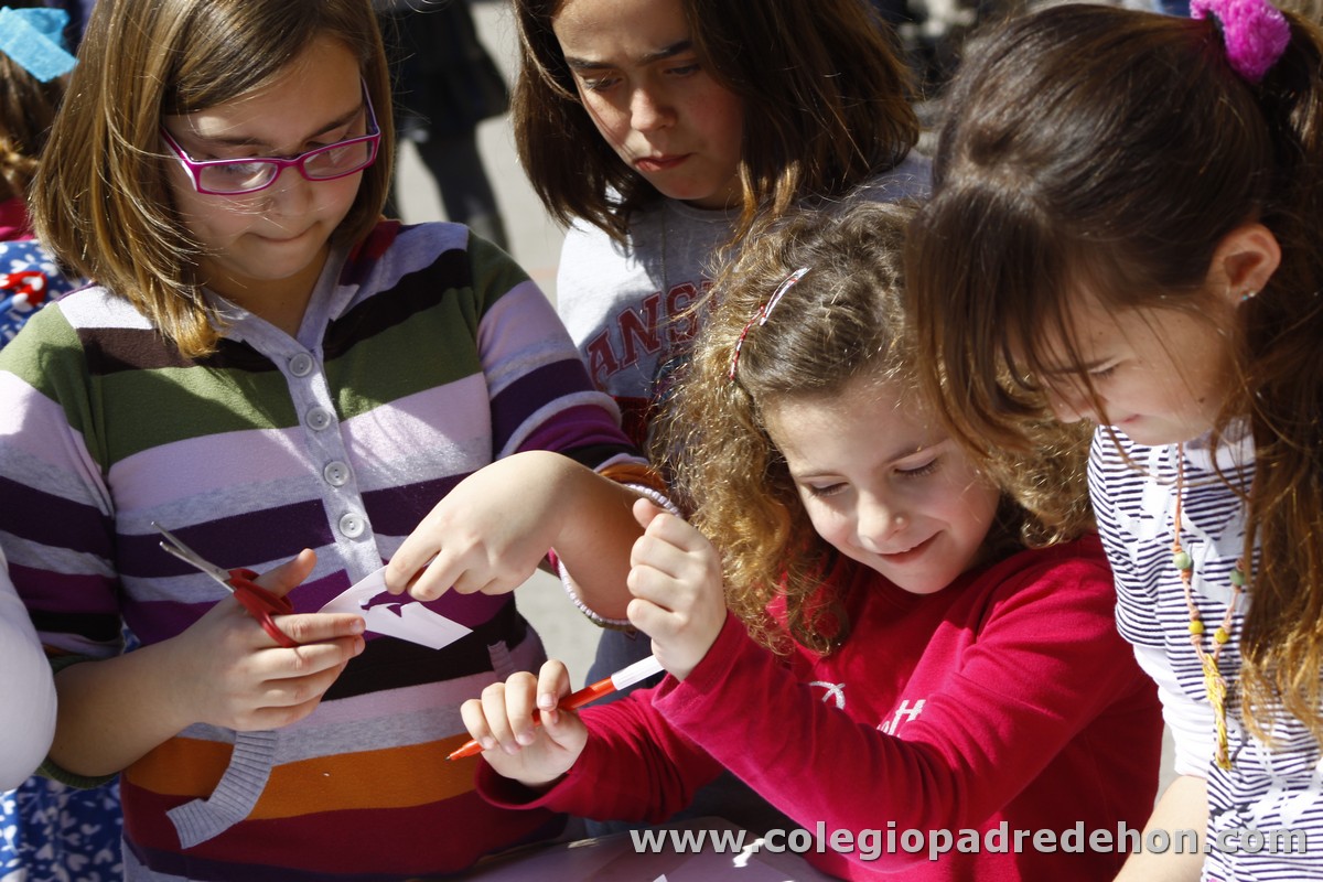 Fiesta apa 201200053