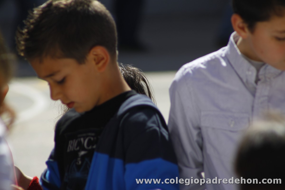 Fiesta apa 201200056