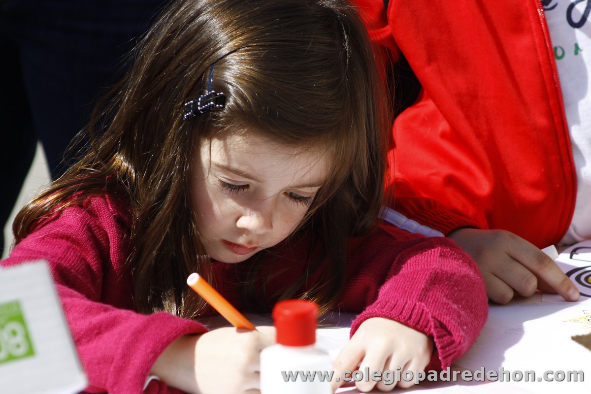 Fiesta apa 201200057