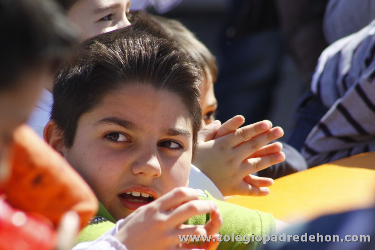 Fiesta apa 201200072