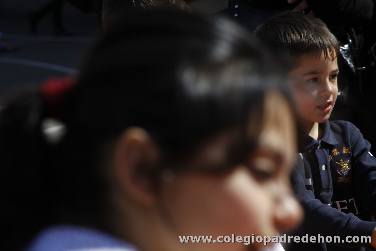 Fiesta apa 201200074