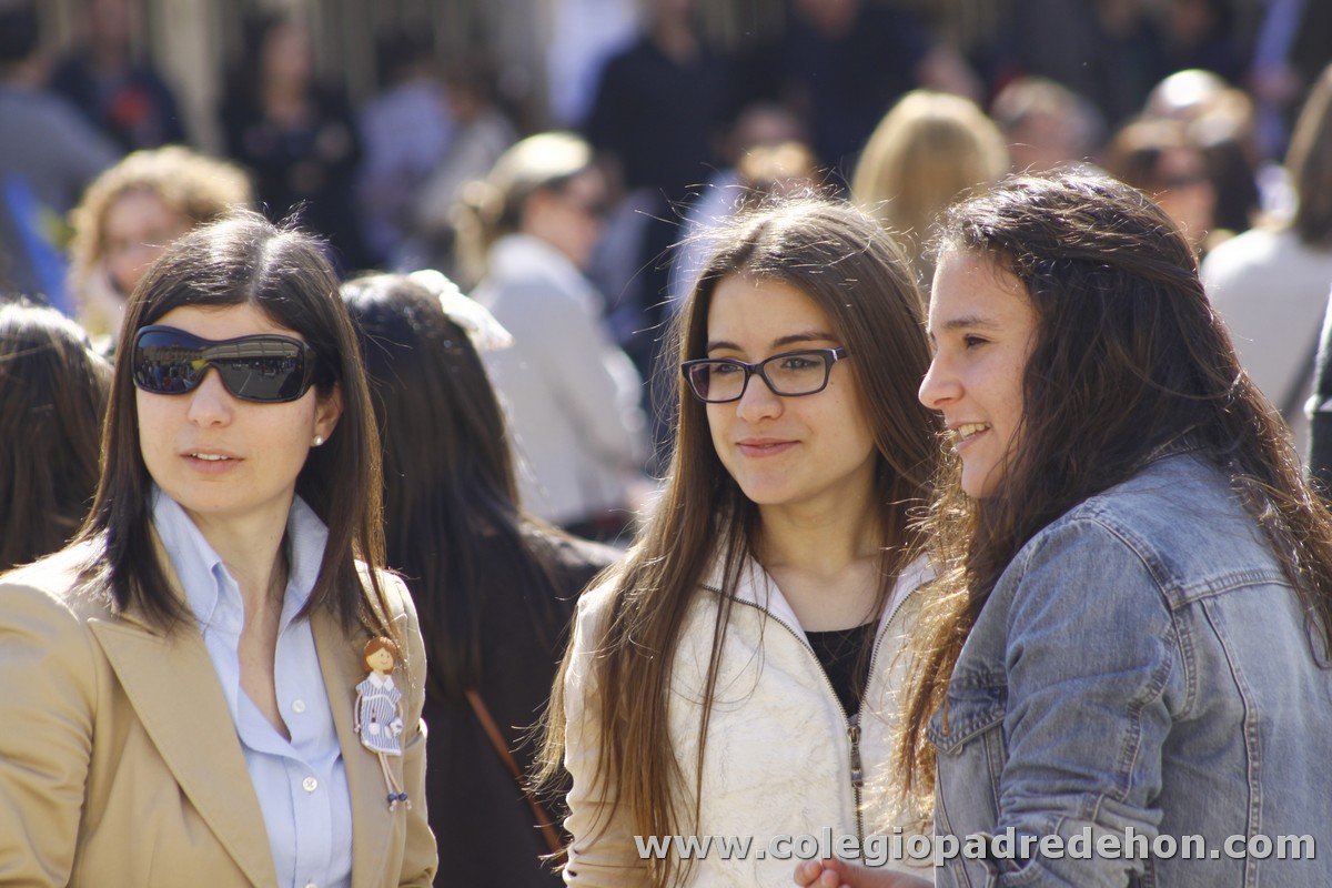 Fiesta apa 201200083